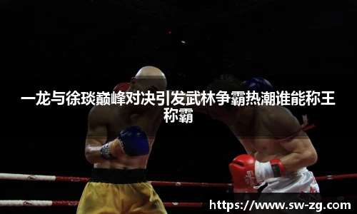 三亿体育一龙与徐琰巅峰对决引发武林争霸热潮谁能称王称霸